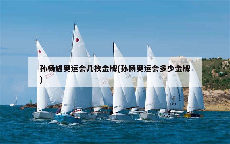 孙杨进奥运会几枚金牌(孙杨奥运会多少金牌)