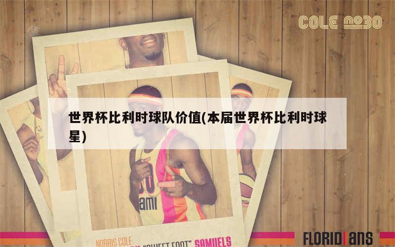 世界杯比利时球队价值(本届世界杯比利时球星)